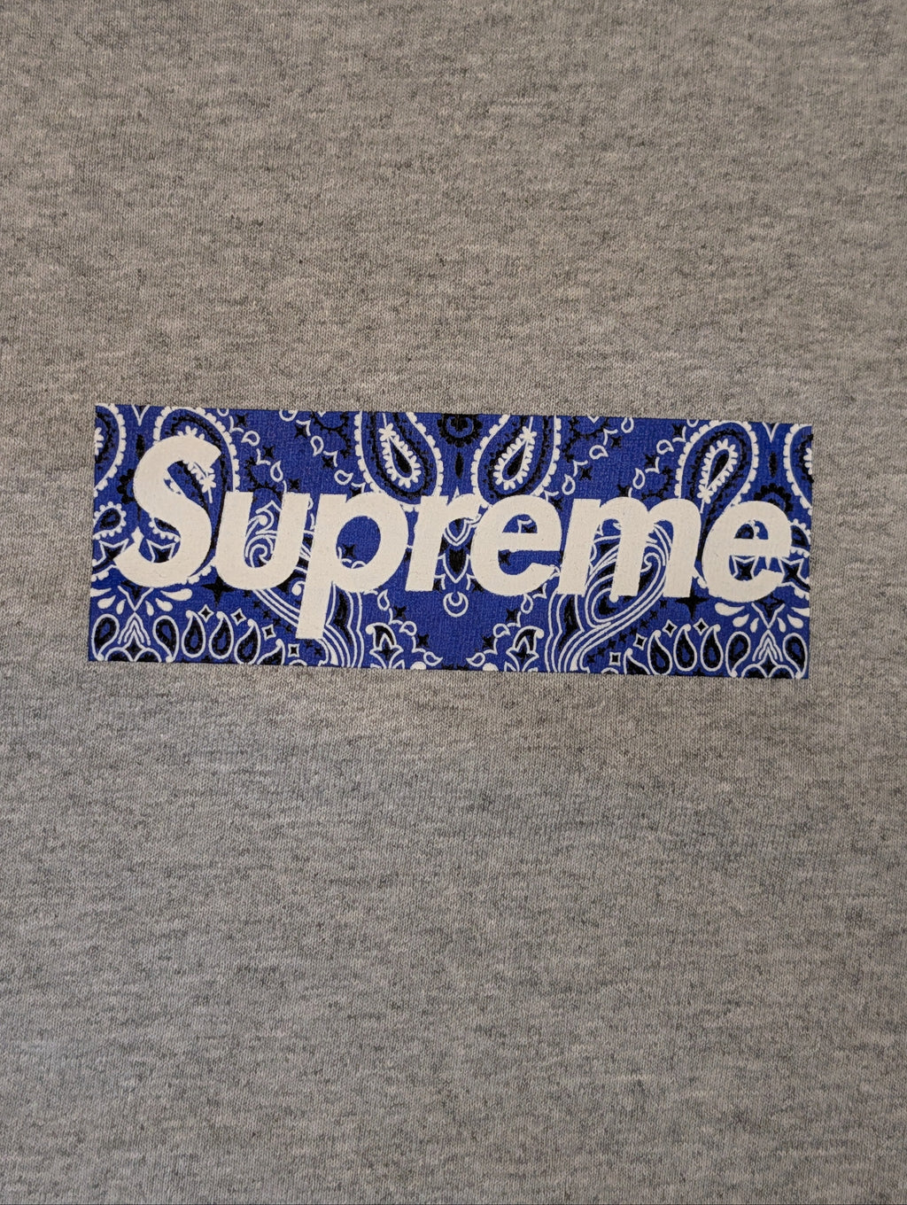 Supreme bandana box Tee